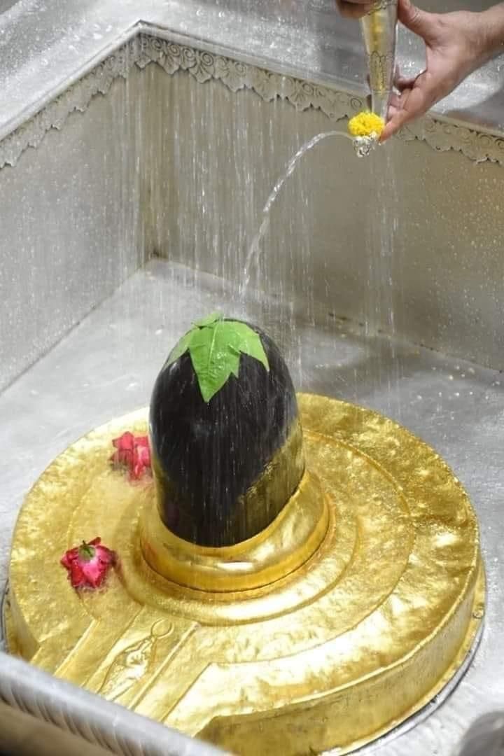 Rudrabhishek
